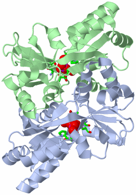 Image Asym./Biol. Unit - sites