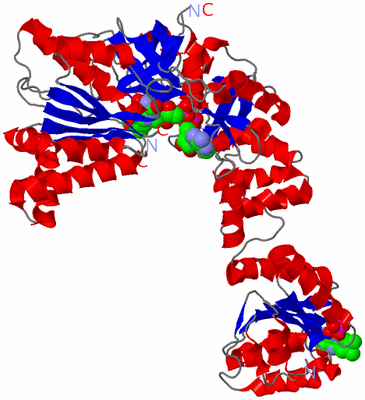 Image Asym./Biol. Unit