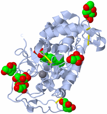 Image Biological Unit 1