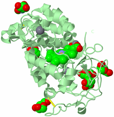 Image Biological Unit 2