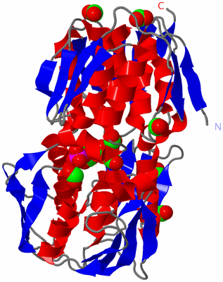 Image Asym./Biol. Unit