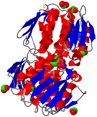 Image Asym./Biol. Unit