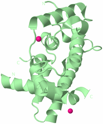 Image Biological Unit 2