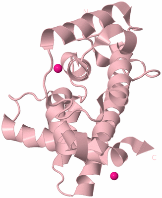 Image Biological Unit 3