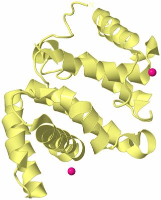 Image Biological Unit 4