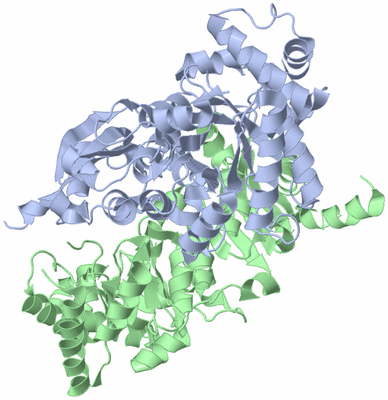 Image Asym./Biol. Unit