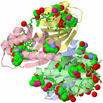 Image Asym./Biol. Unit - sites