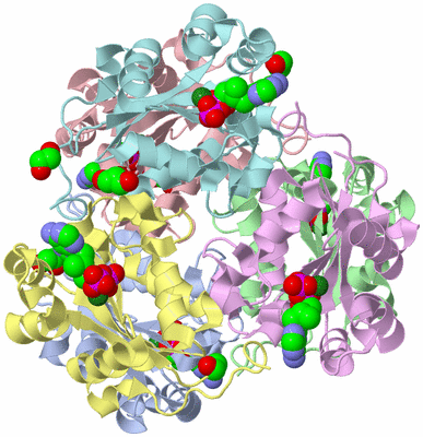 Image Asym./Biol. Unit