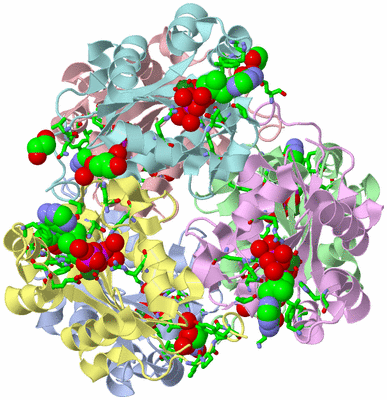 Image Asym./Biol. Unit - sites