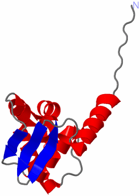 Image Asymmetric Unit