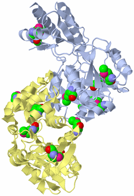 Image Biological Unit 1