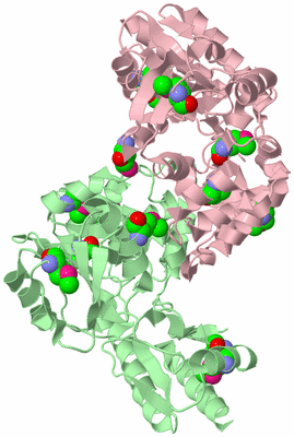 Image Biological Unit 2