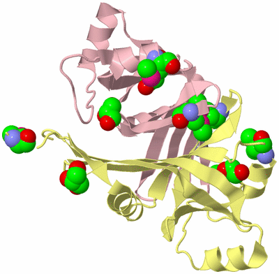 Image Biological Unit 2