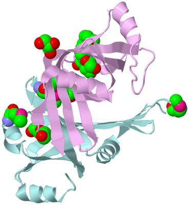 Image Biological Unit 3