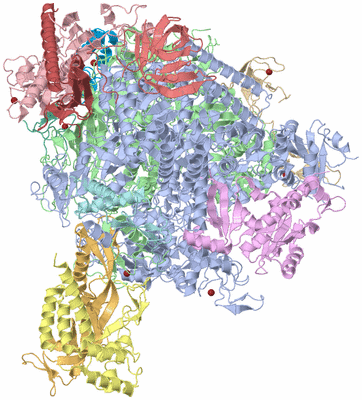 Image Asym./Biol. Unit