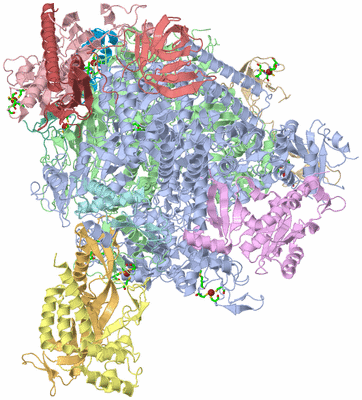 Image Asym./Biol. Unit - sites