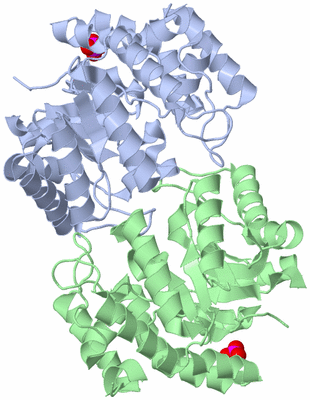 Image Biological Unit 1