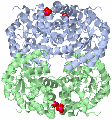 Image Biological Unit 2