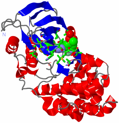 Image Asym./Biol. Unit - sites