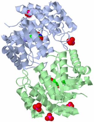 Image Asym./Biol. Unit