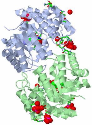 Image Asym./Biol. Unit - sites