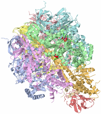 Image Biol. Unit 1 - sites