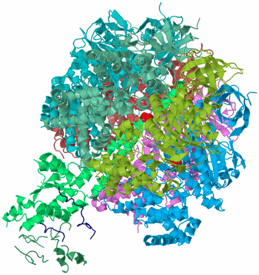 Image Biological Unit 2