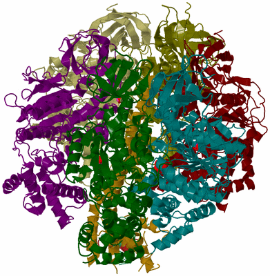 Image Biological Unit 3