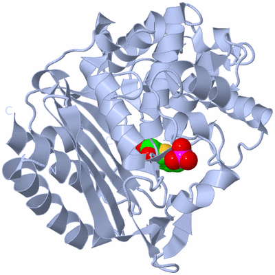 Image Biological Unit 1