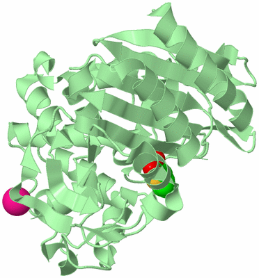 Image Biological Unit 2