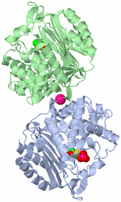 Image Biological Unit 3