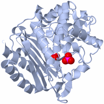 Image Biological Unit 1