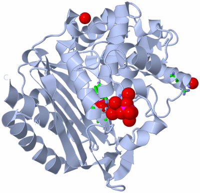 Image Biol. Unit 1 - sites