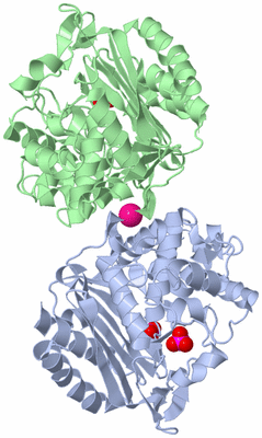 Image Biological Unit 3