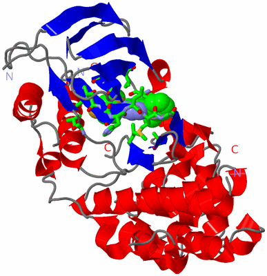 Image Asym./Biol. Unit - sites