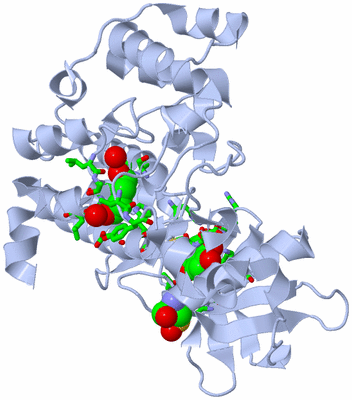 Image Biol. Unit 1 - sites