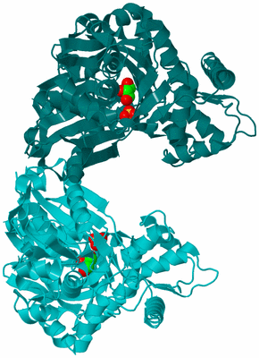 Image Asym./Biol. Unit