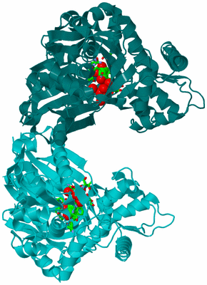 Image Asym./Biol. Unit - sites