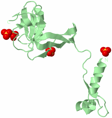 Image Biological Unit 3