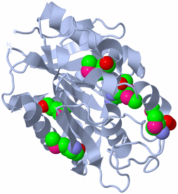 Image Biological Unit 1