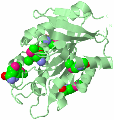 Image Biological Unit 2