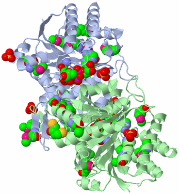 Image Biological Unit 1