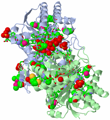 Image Biol. Unit 1 - sites