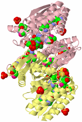 Image Biological Unit 2