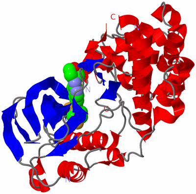 Image Asym./Biol. Unit