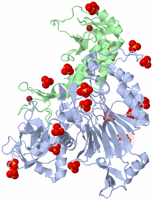 Image Biological Unit 1