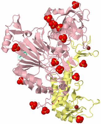 Image Biological Unit 2