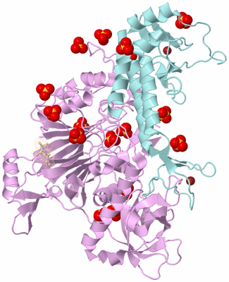 Image Biological Unit 3