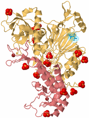 Image Biological Unit 4