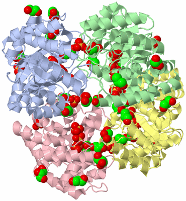 Image Asym./Biol. Unit